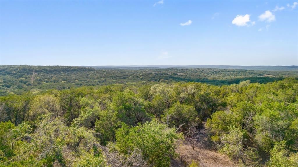 10700 Indian Scout TRL