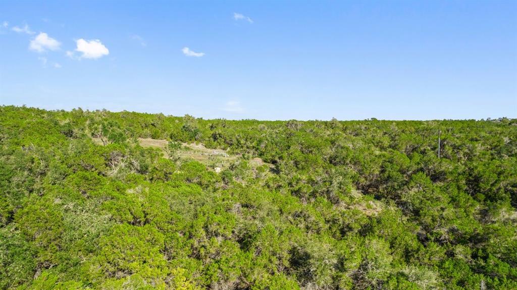 10700 Indian Scout TRL