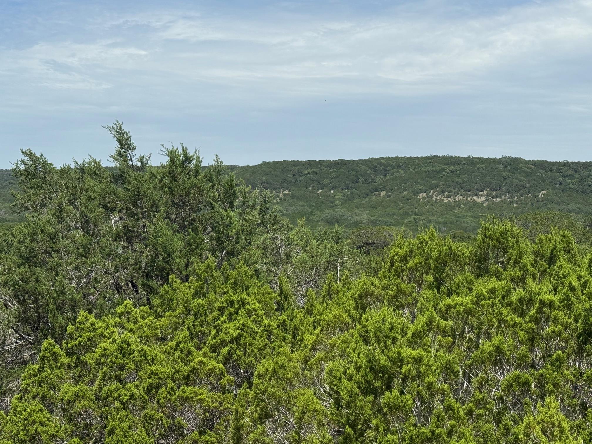 Lot 249 Woodhollow DR