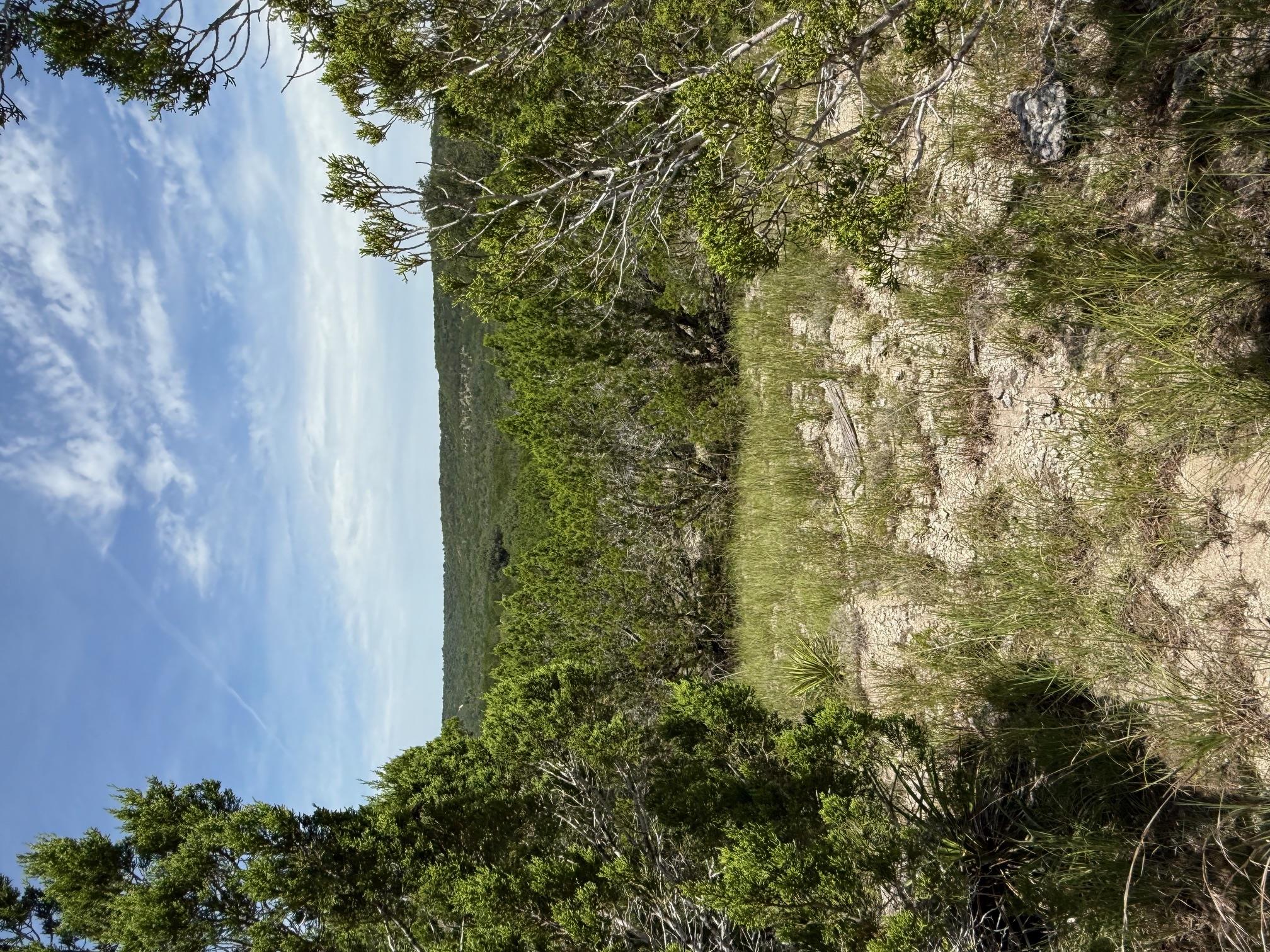 Lot 249 Woodhollow DR
