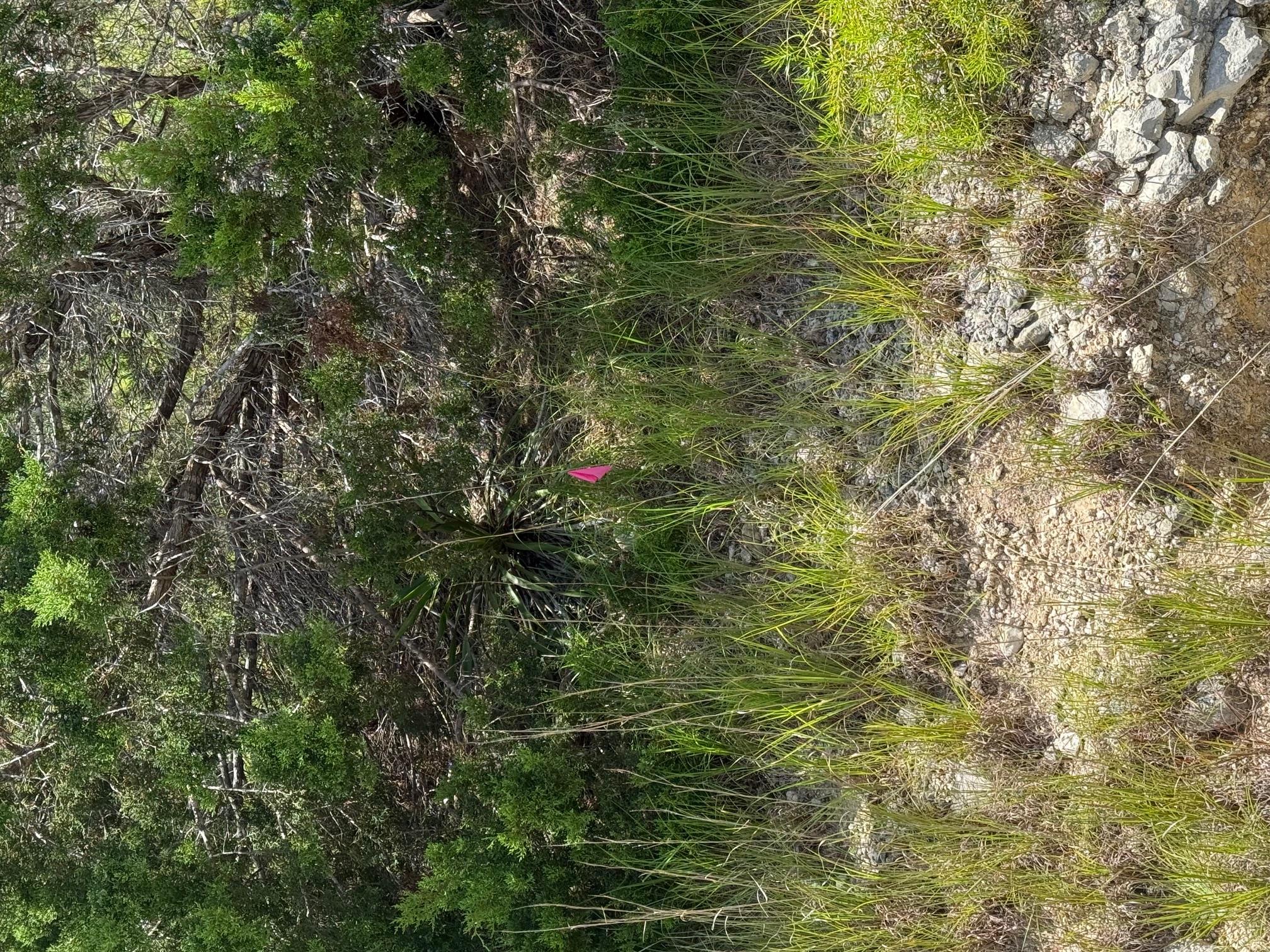 Lot 249 Woodhollow DR