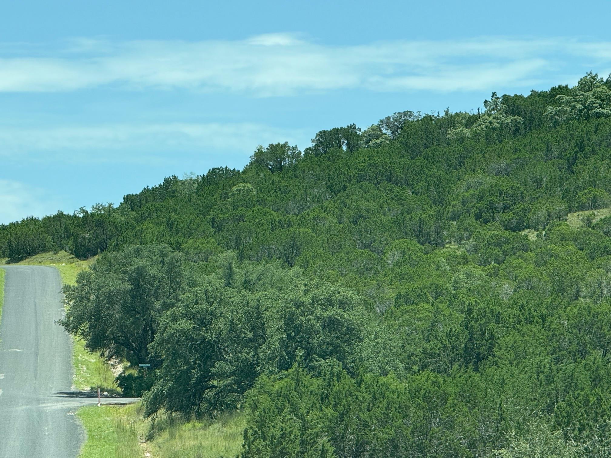 Lot 249 Woodhollow DR