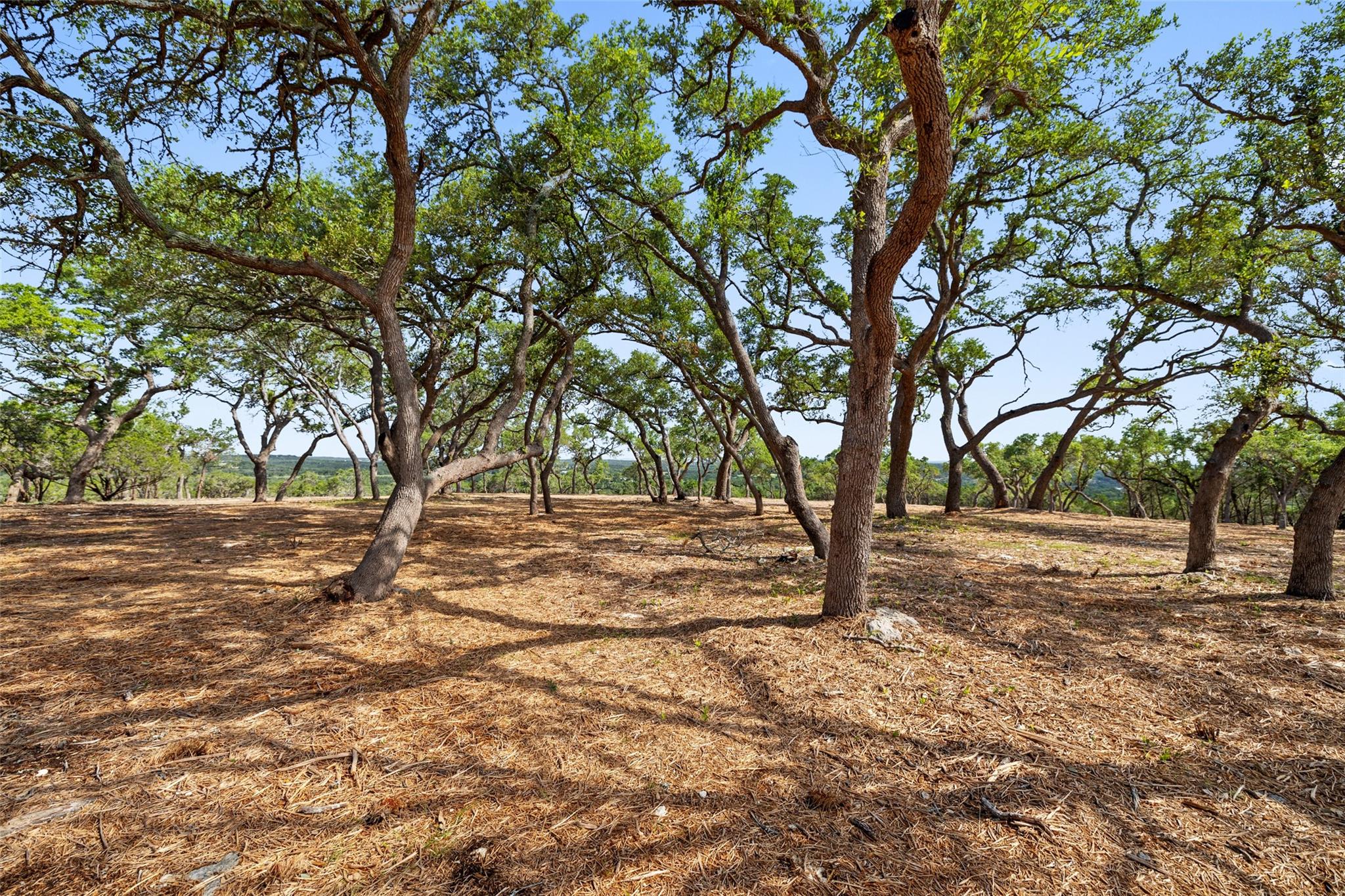 9475 FM 32, Lot 1