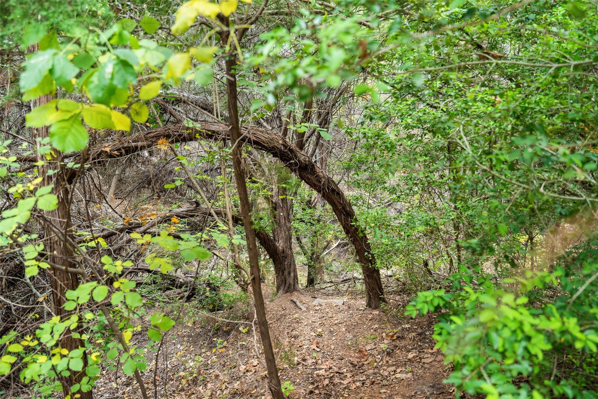 12214 Cottage Promenade CT