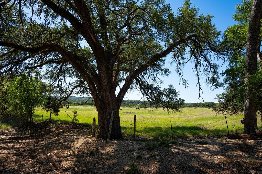 1294 Crabapple RD