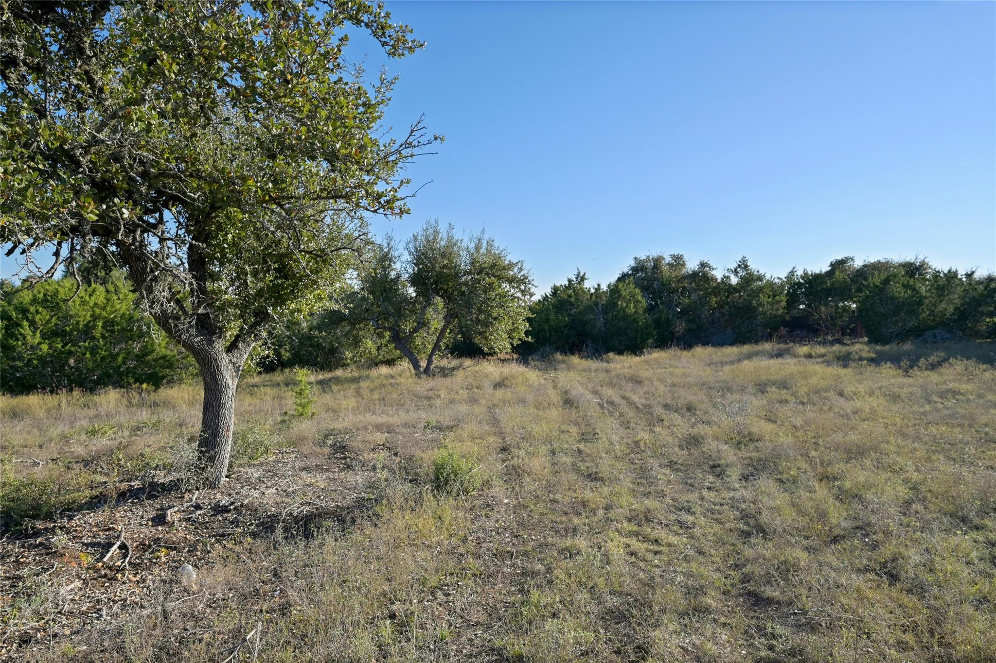 5905 Madrone Tree LN