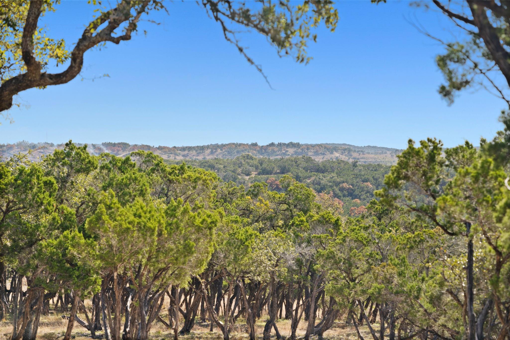3300 FM 165 - Lot 12