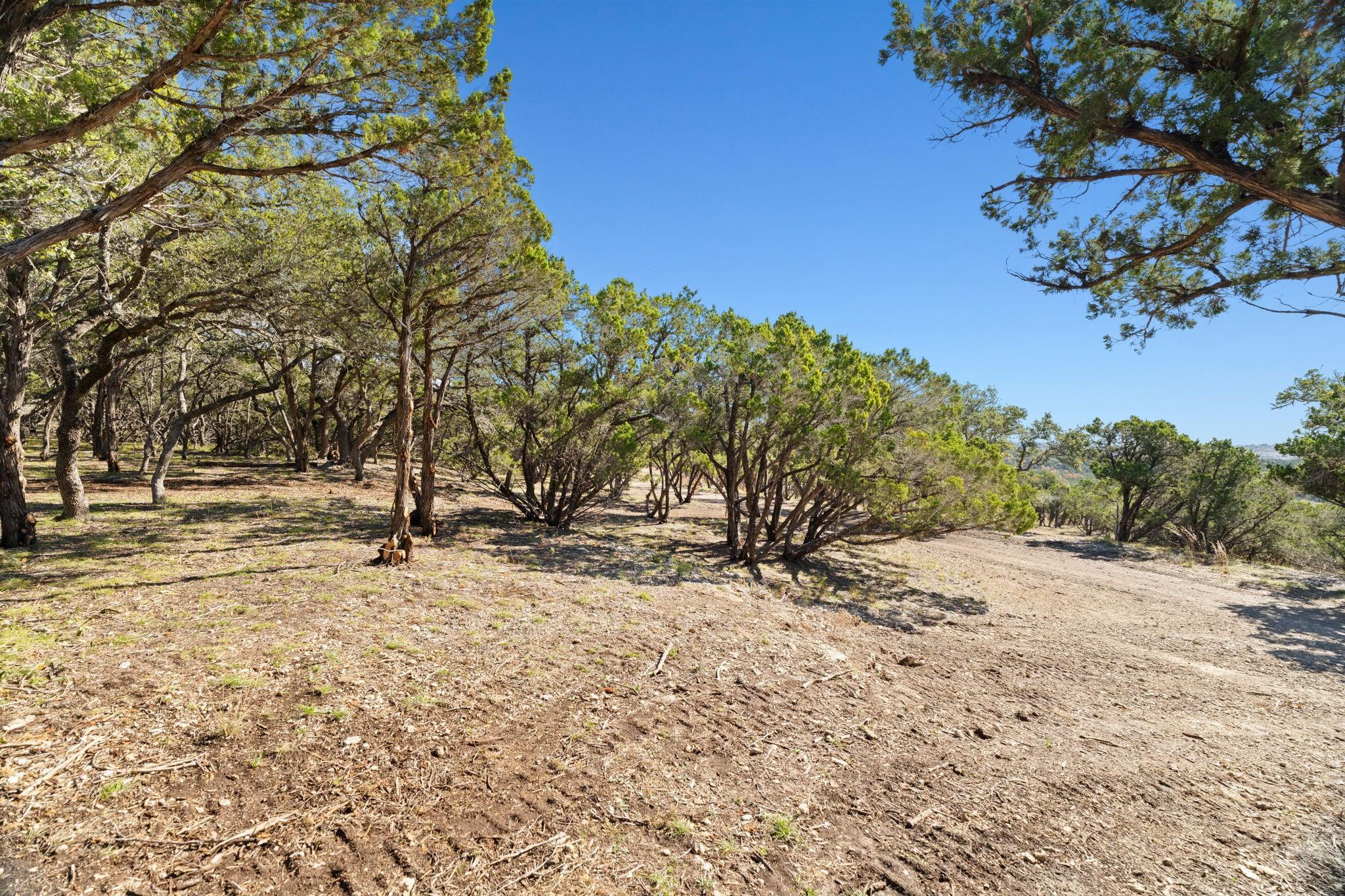 3300 FM 165 - Lot 12