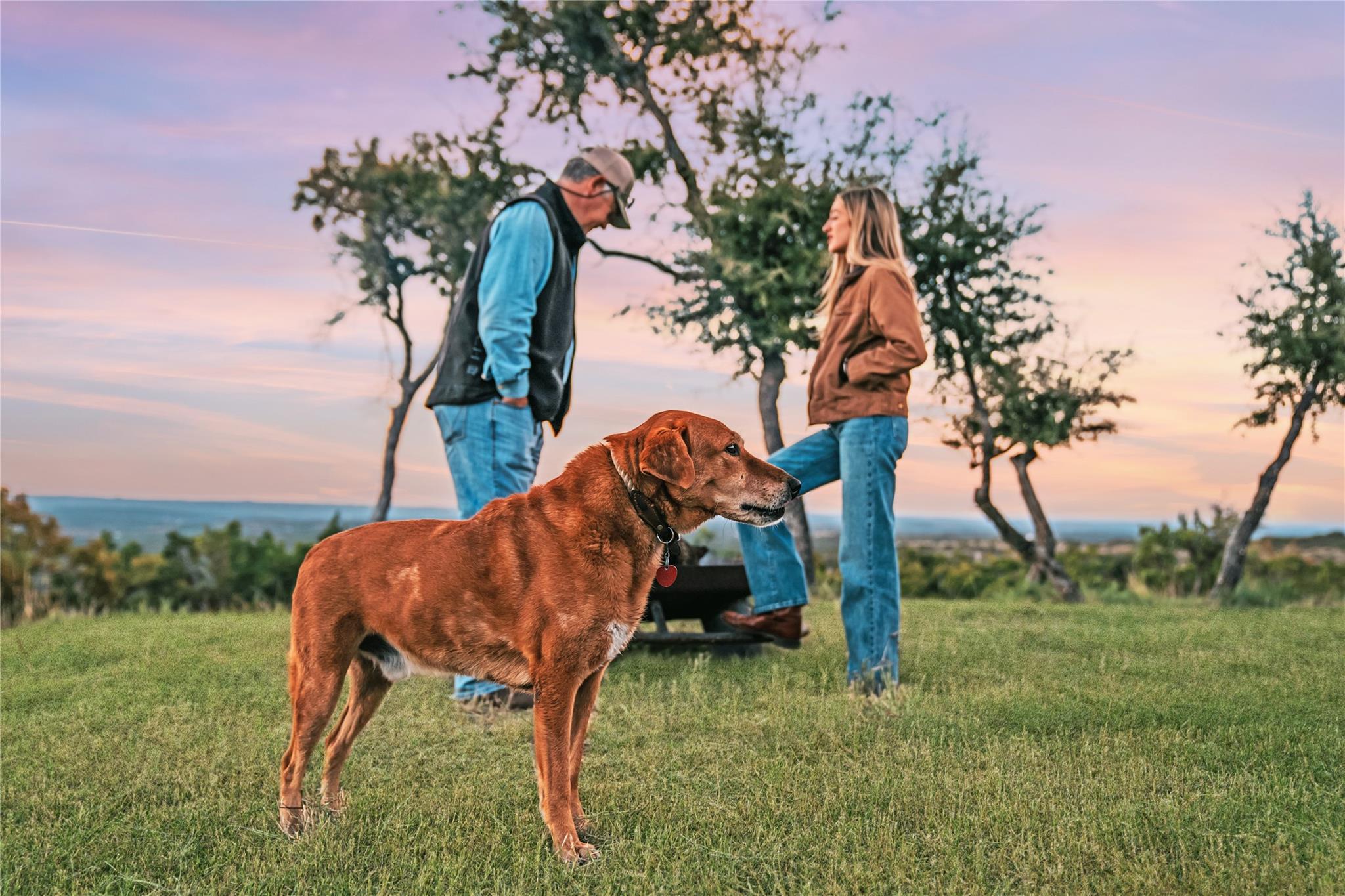 3300 FM 165 - Lot 12