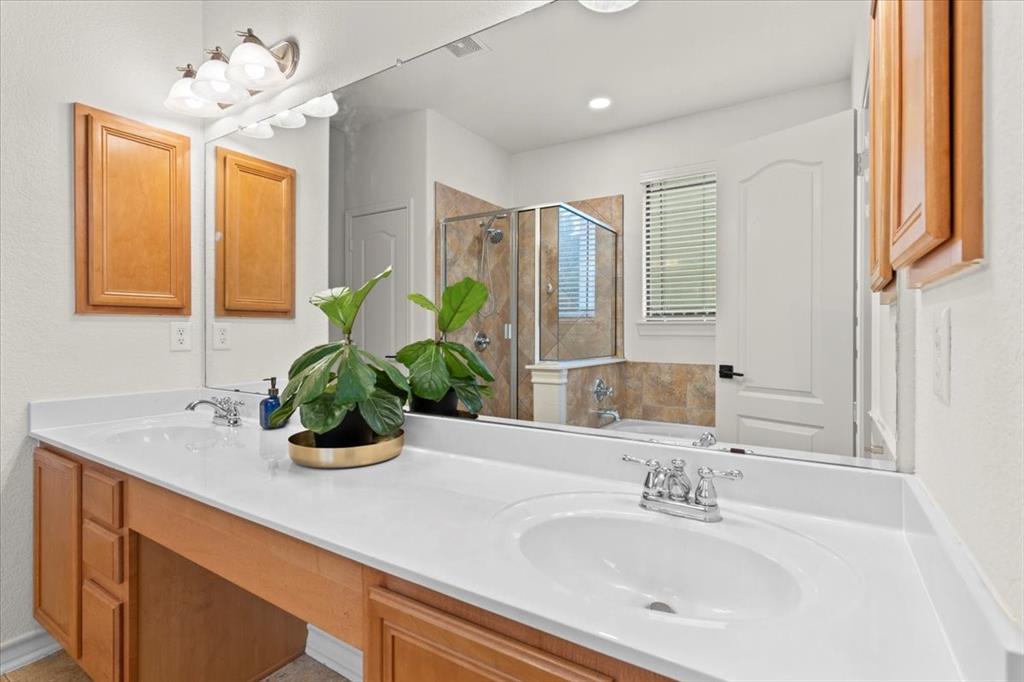 404 Chinese Elm CT S