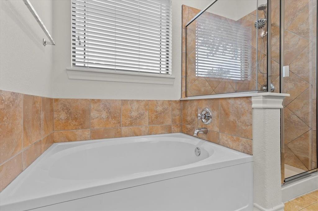 404 Chinese Elm CT S