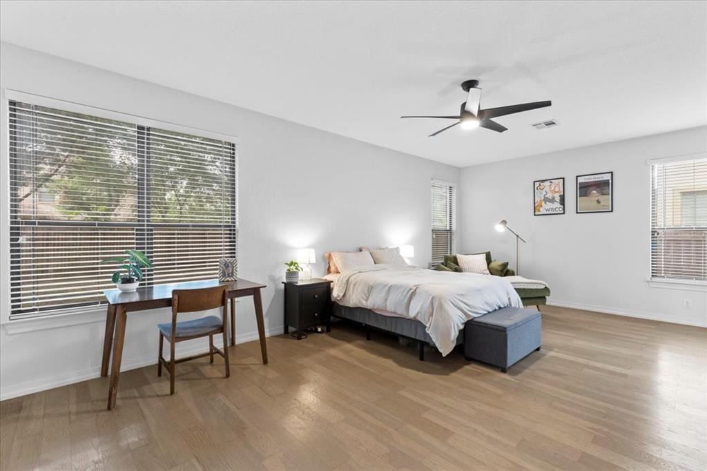 404 Chinese Elm CT S