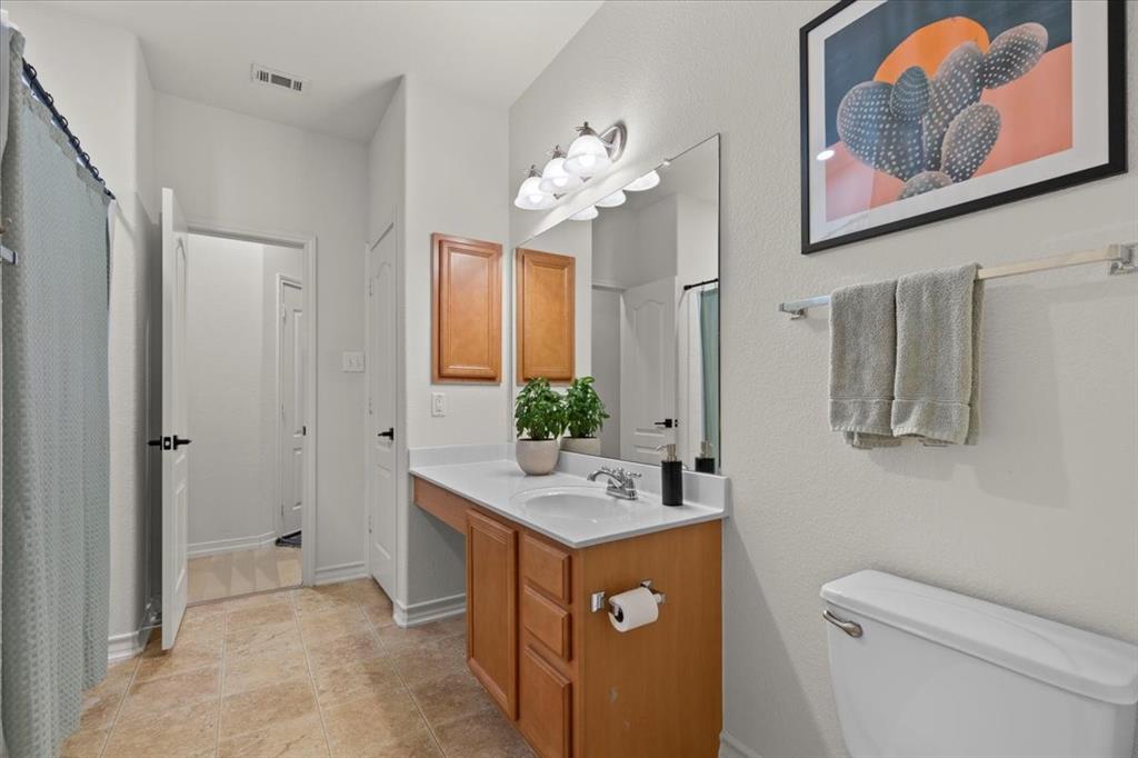 404 Chinese Elm CT S