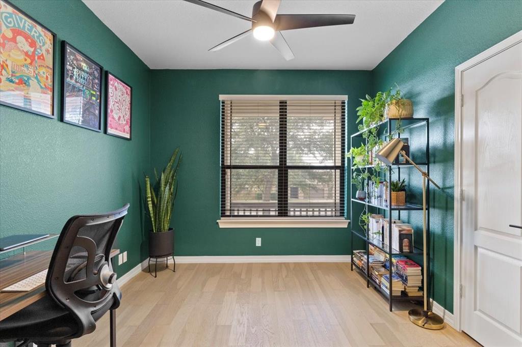 404 Chinese Elm CT S