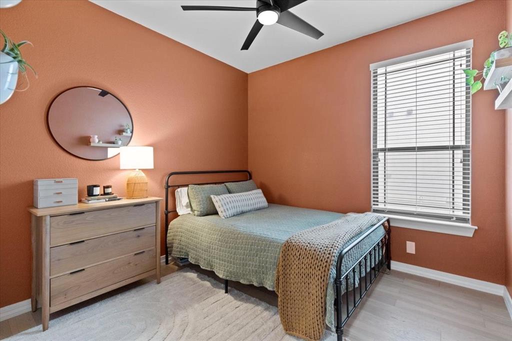 404 Chinese Elm CT S