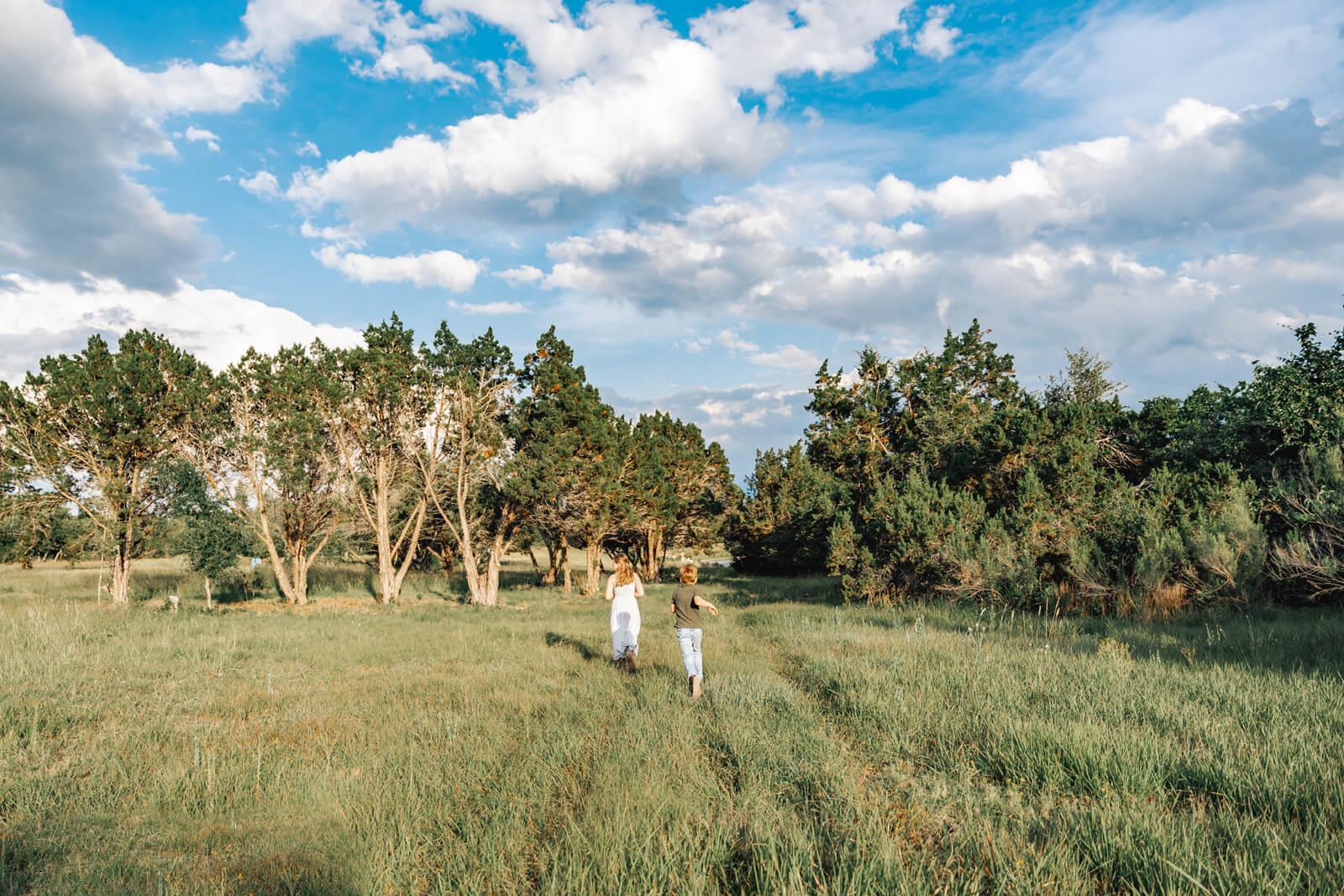 17650-C Hamilton Pool RD