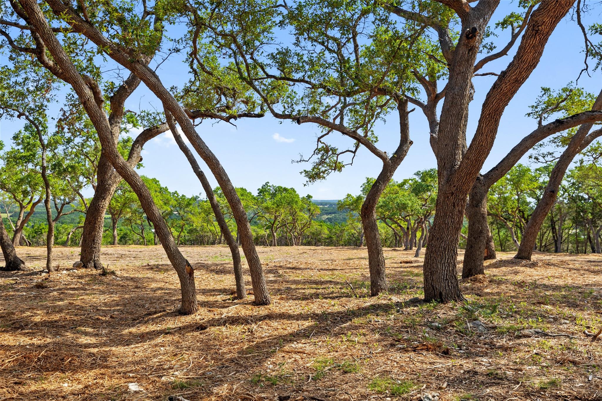 9475 FM 32, Lot 9
