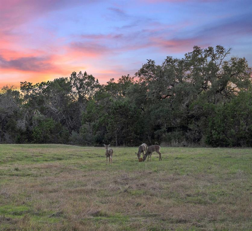 4024 Travis Country CIR