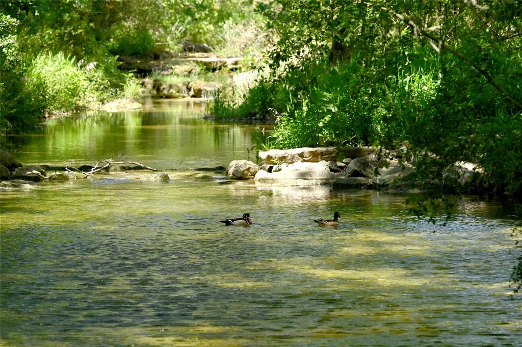 901 Wild Basin Ledge