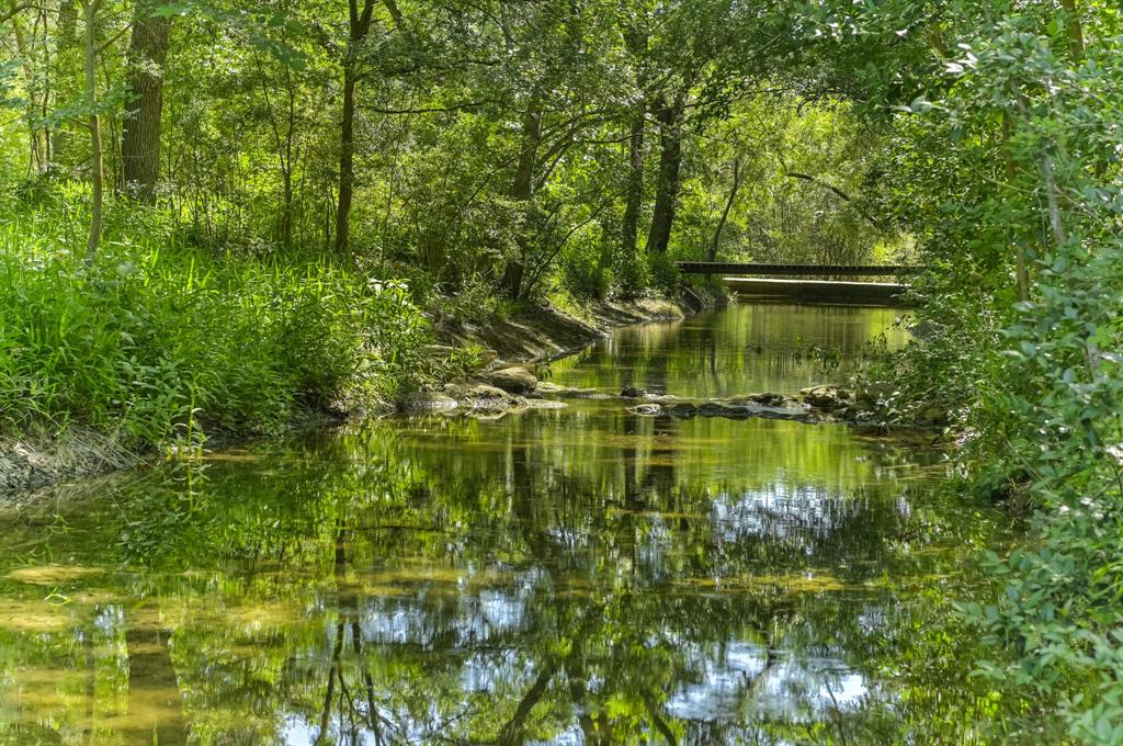 901 Wild Basin Ledge