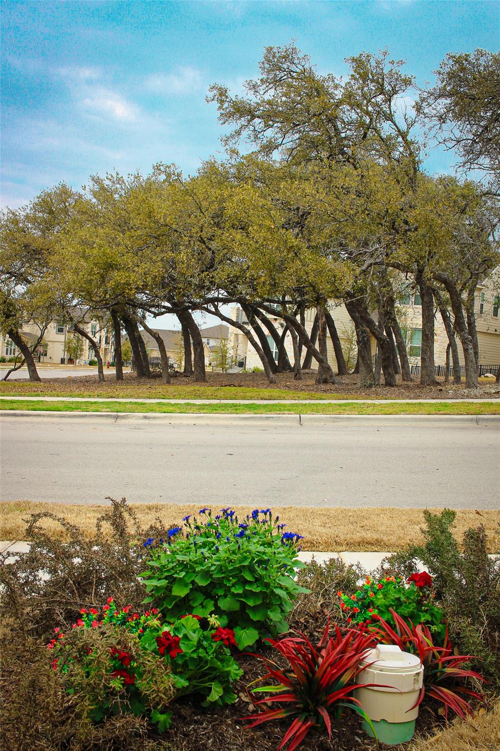 268 Delaware Mountains TER