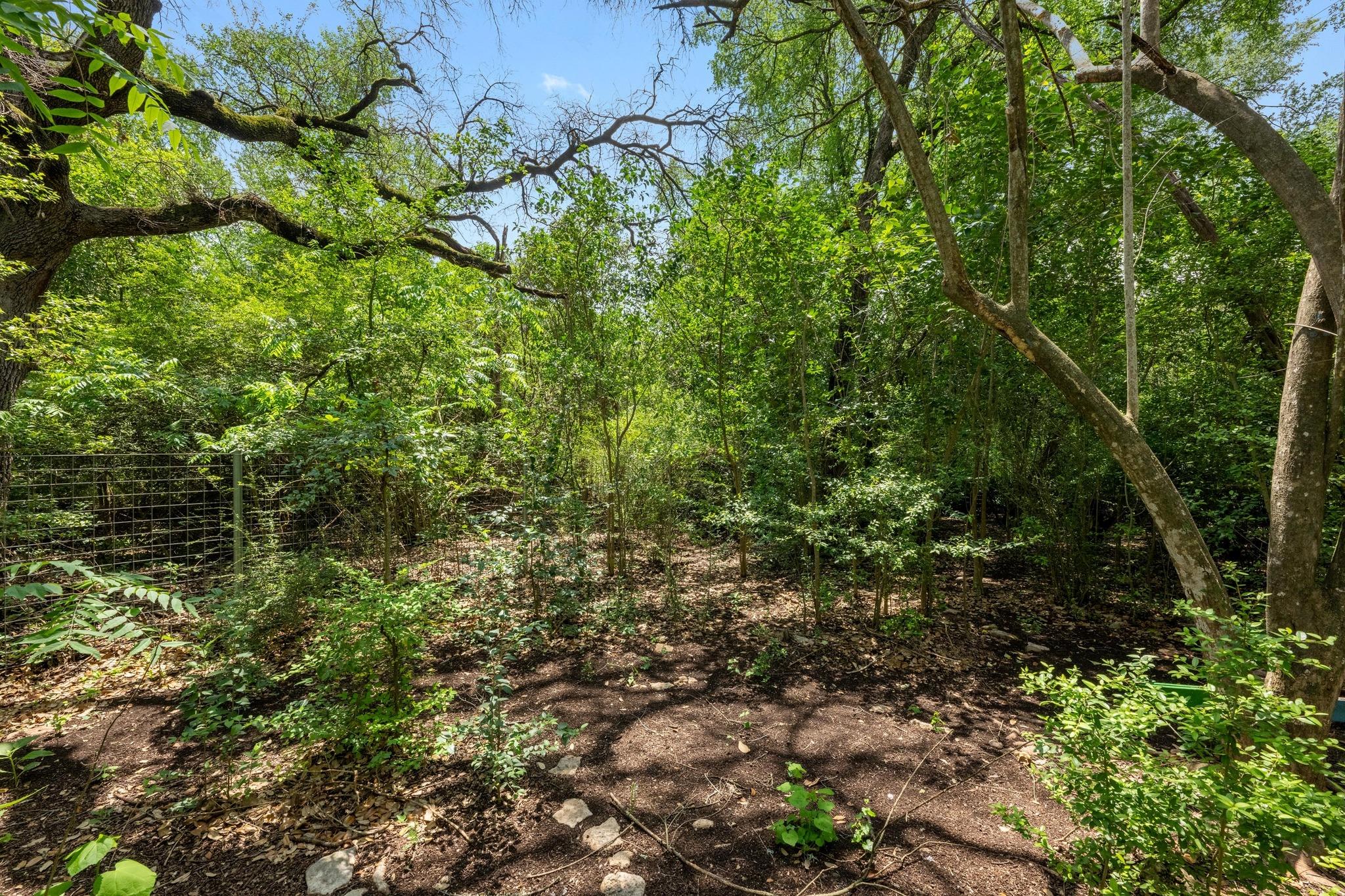 1511 Terrapin CT # B