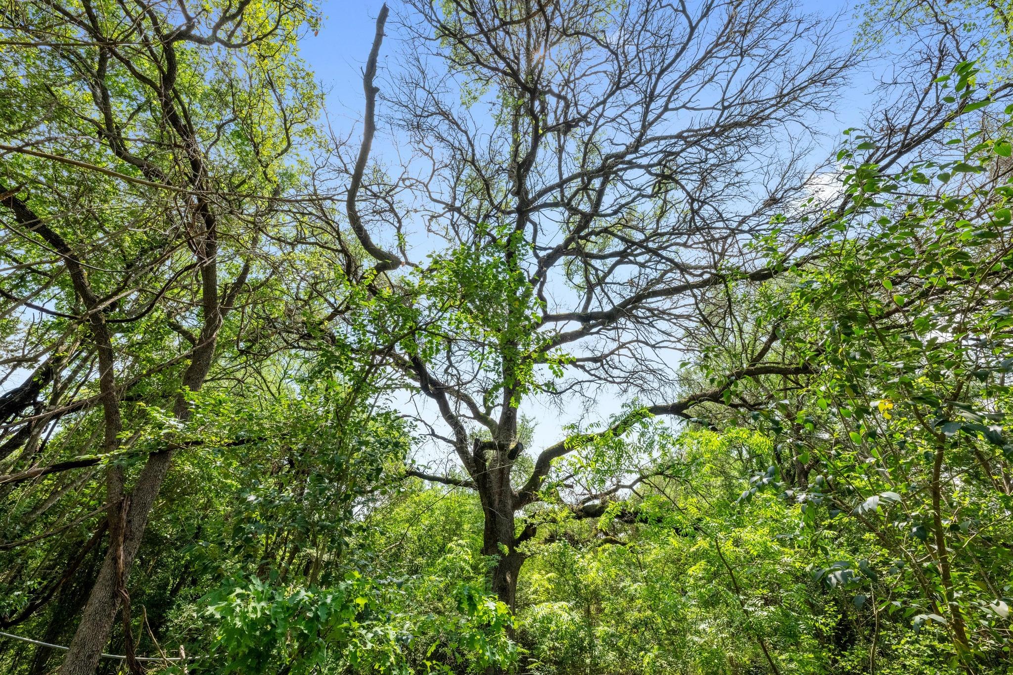 1511 Terrapin CT # B