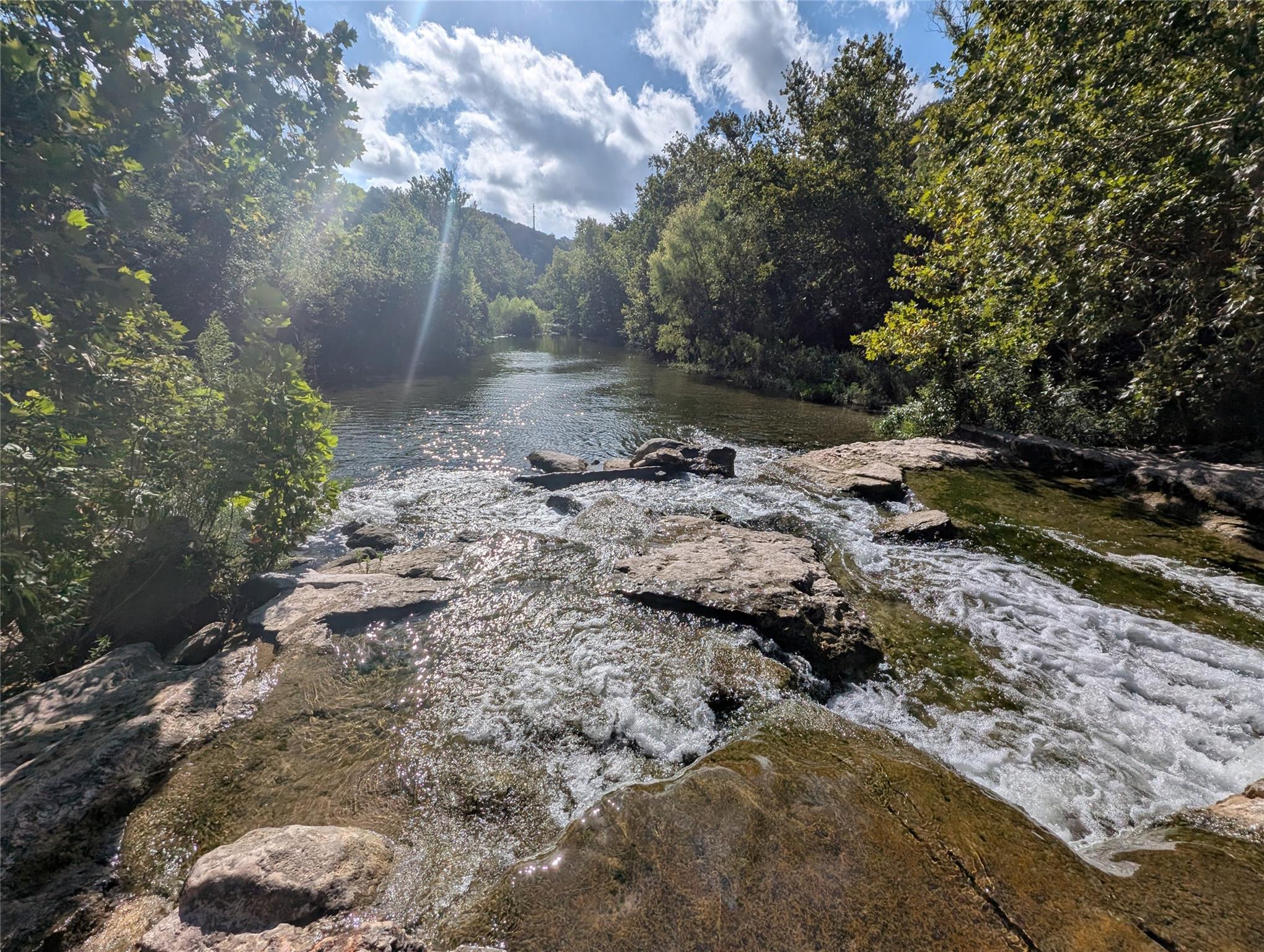 1305 Shannon Oaks Trl