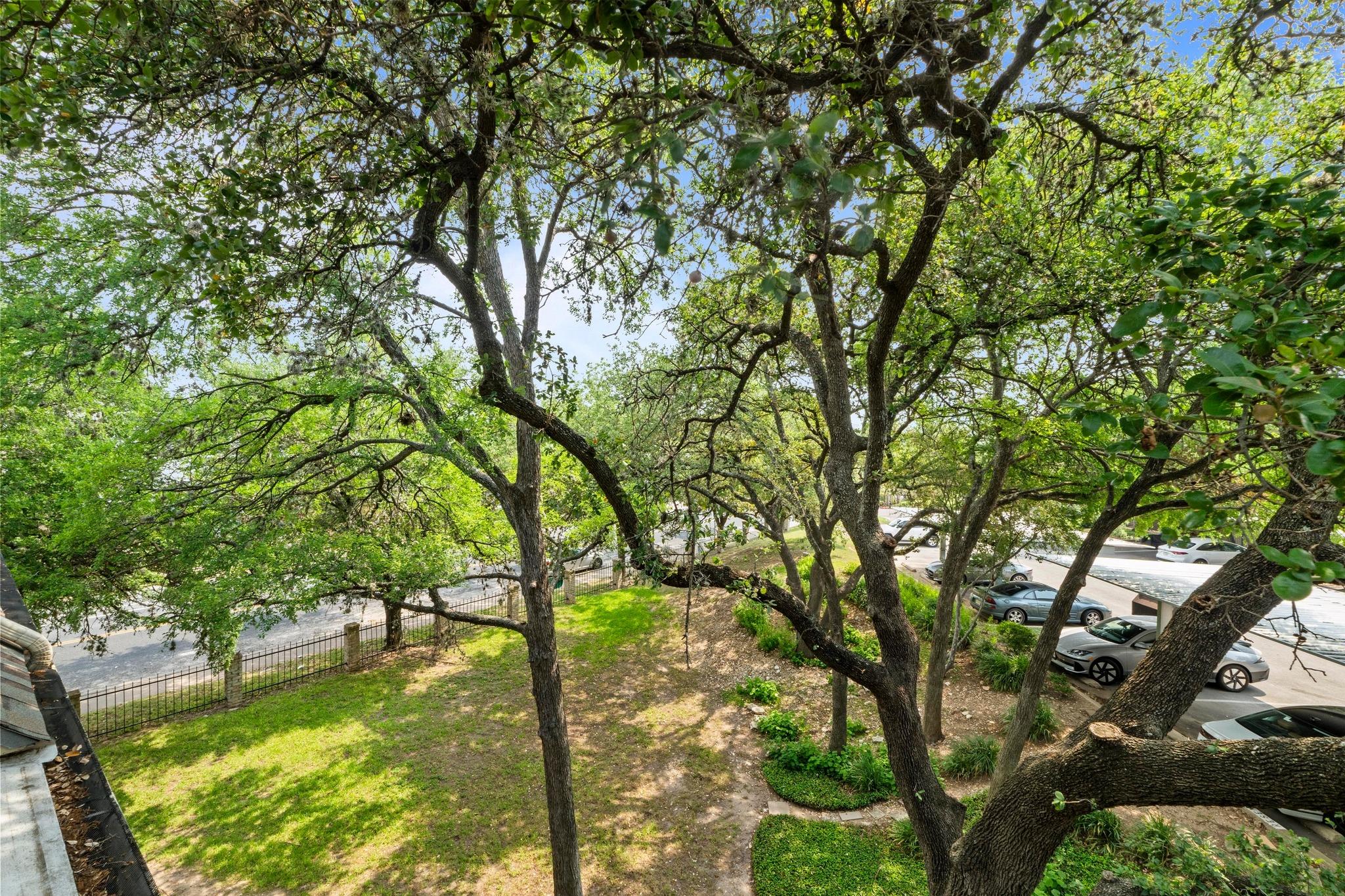 1135 Barton Hills DR # 240