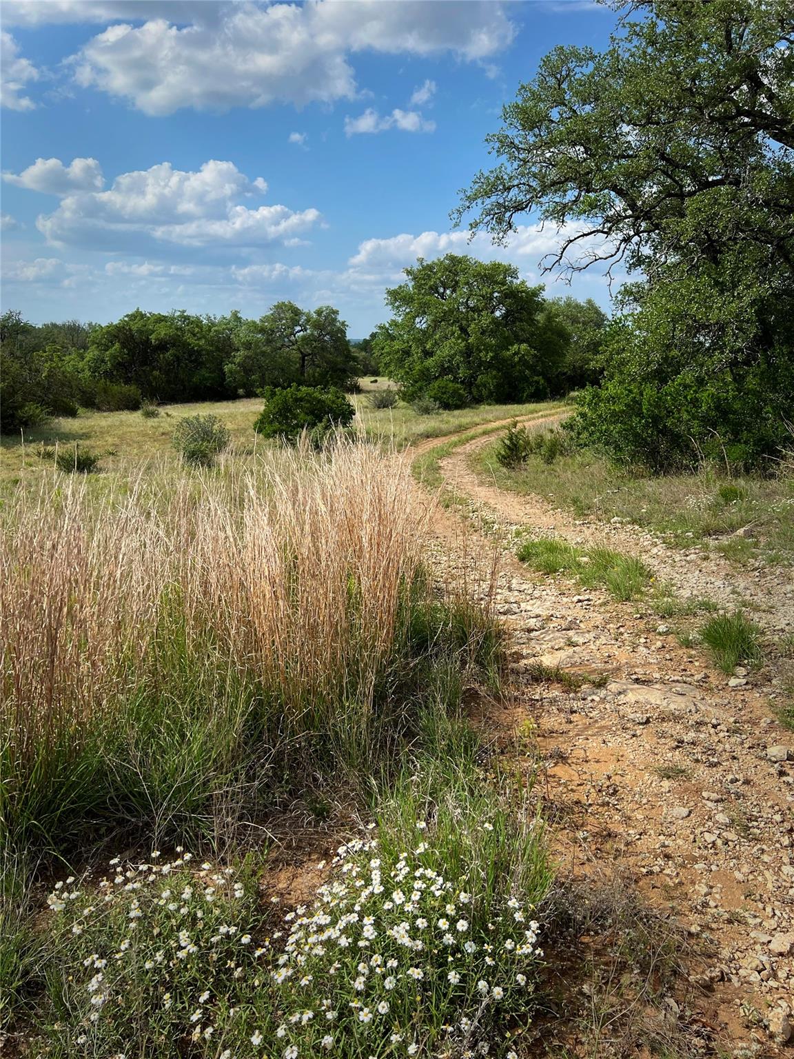892 Baird Ranch RD