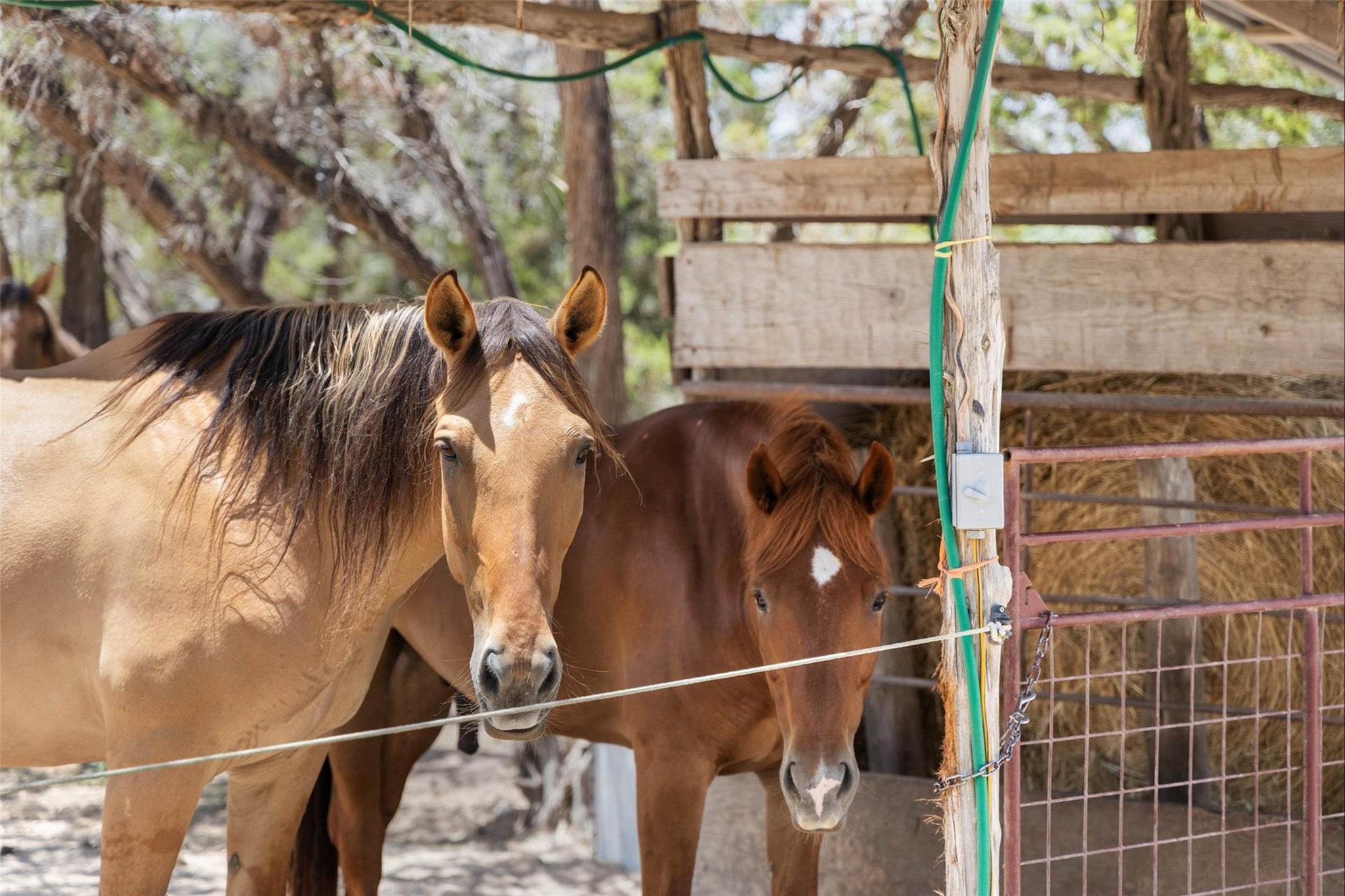 2822 Stagecoach Ranch RD