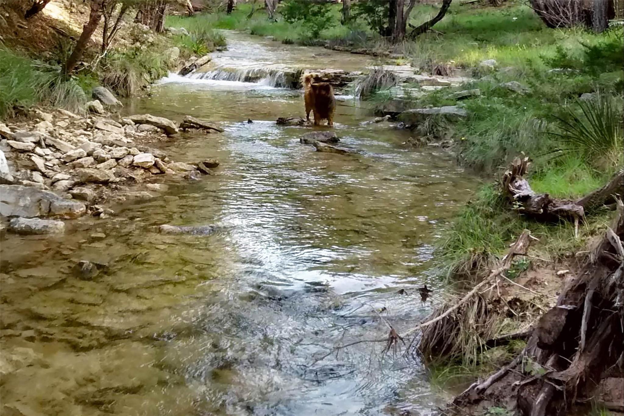 2822 Stagecoach Ranch RD