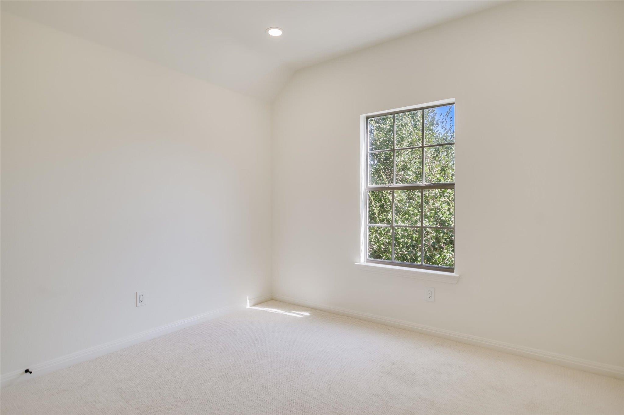 11613 Sweet Basil CT