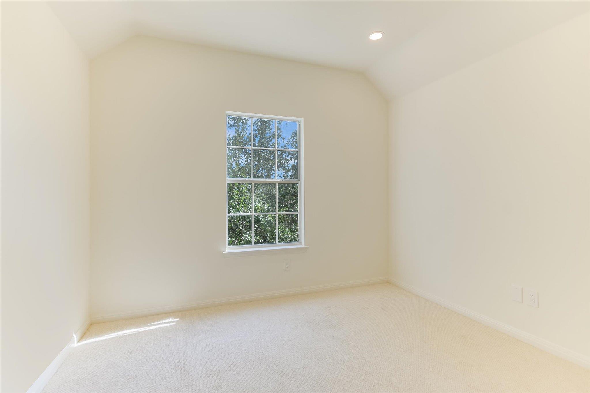 11613 Sweet Basil CT