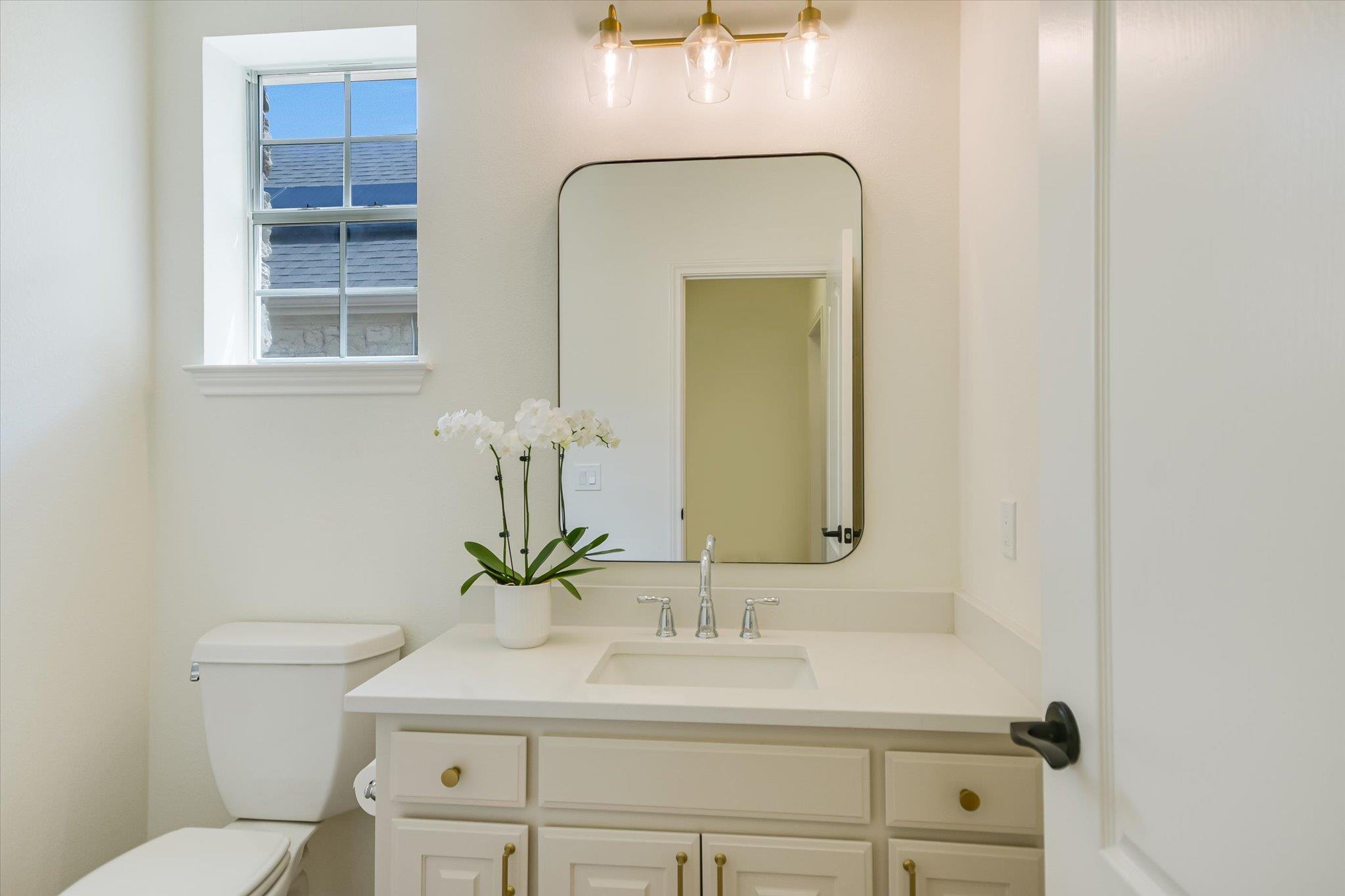 11613 Sweet Basil CT