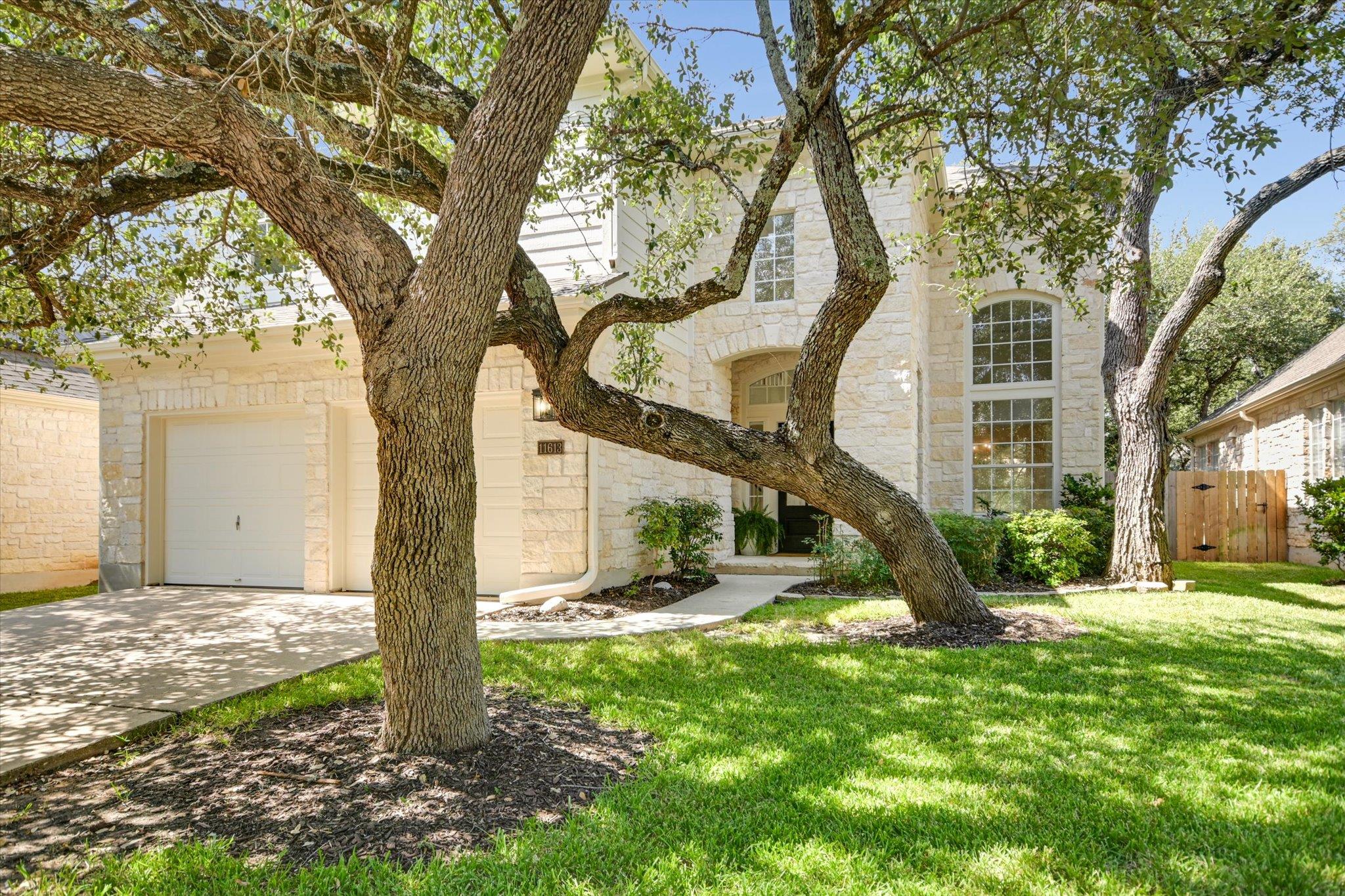 11613 Sweet Basil CT