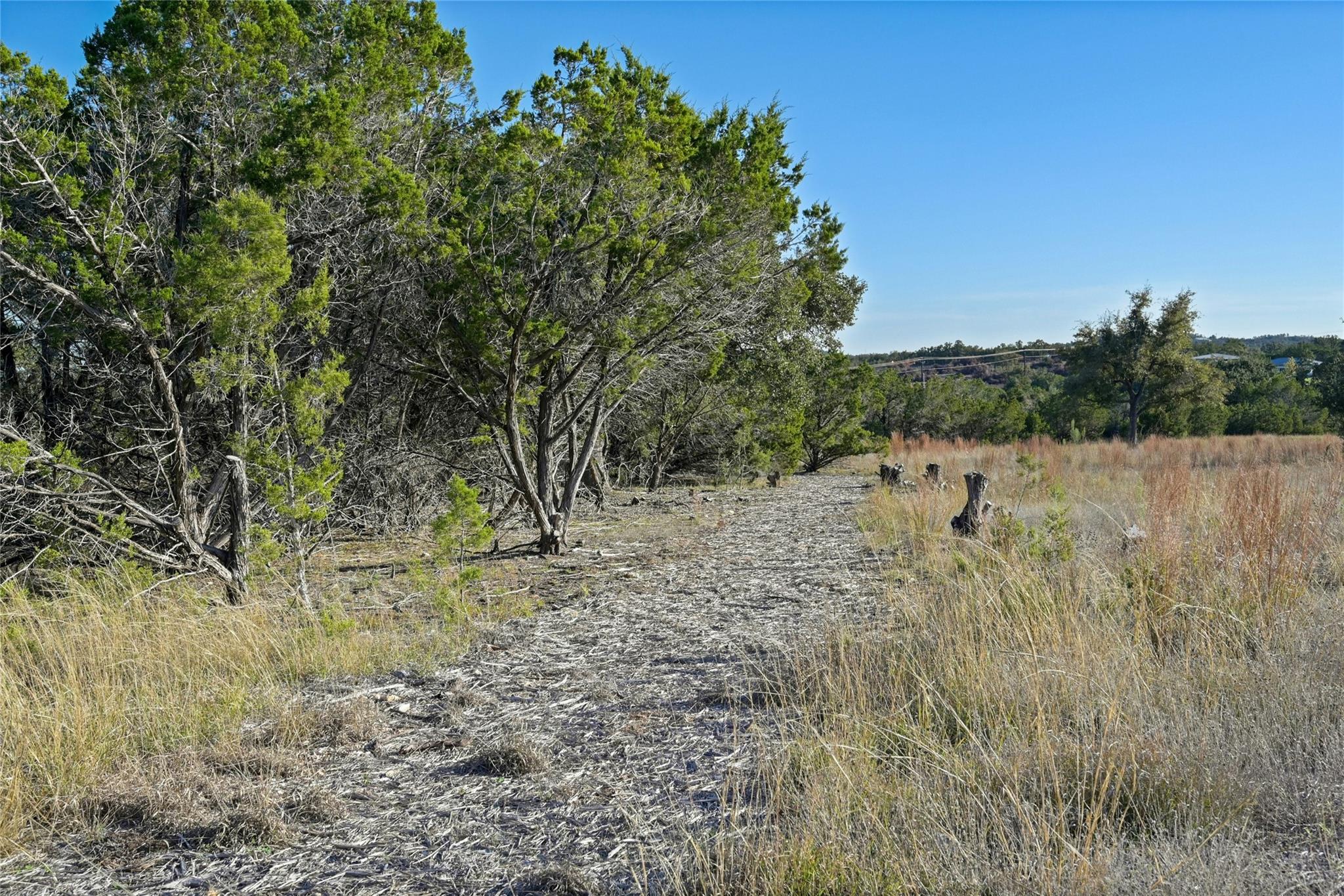 17409 Auburn Vista CV