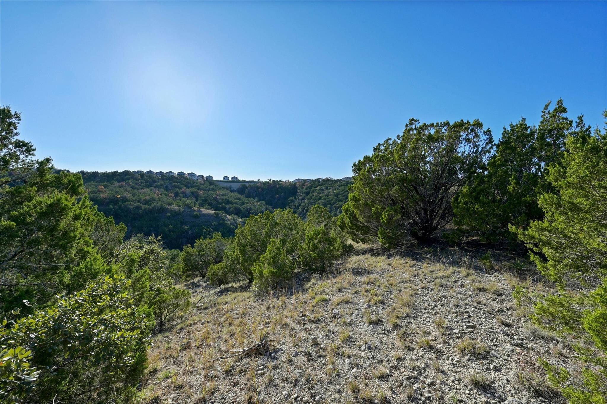 17409 Auburn Vista CV