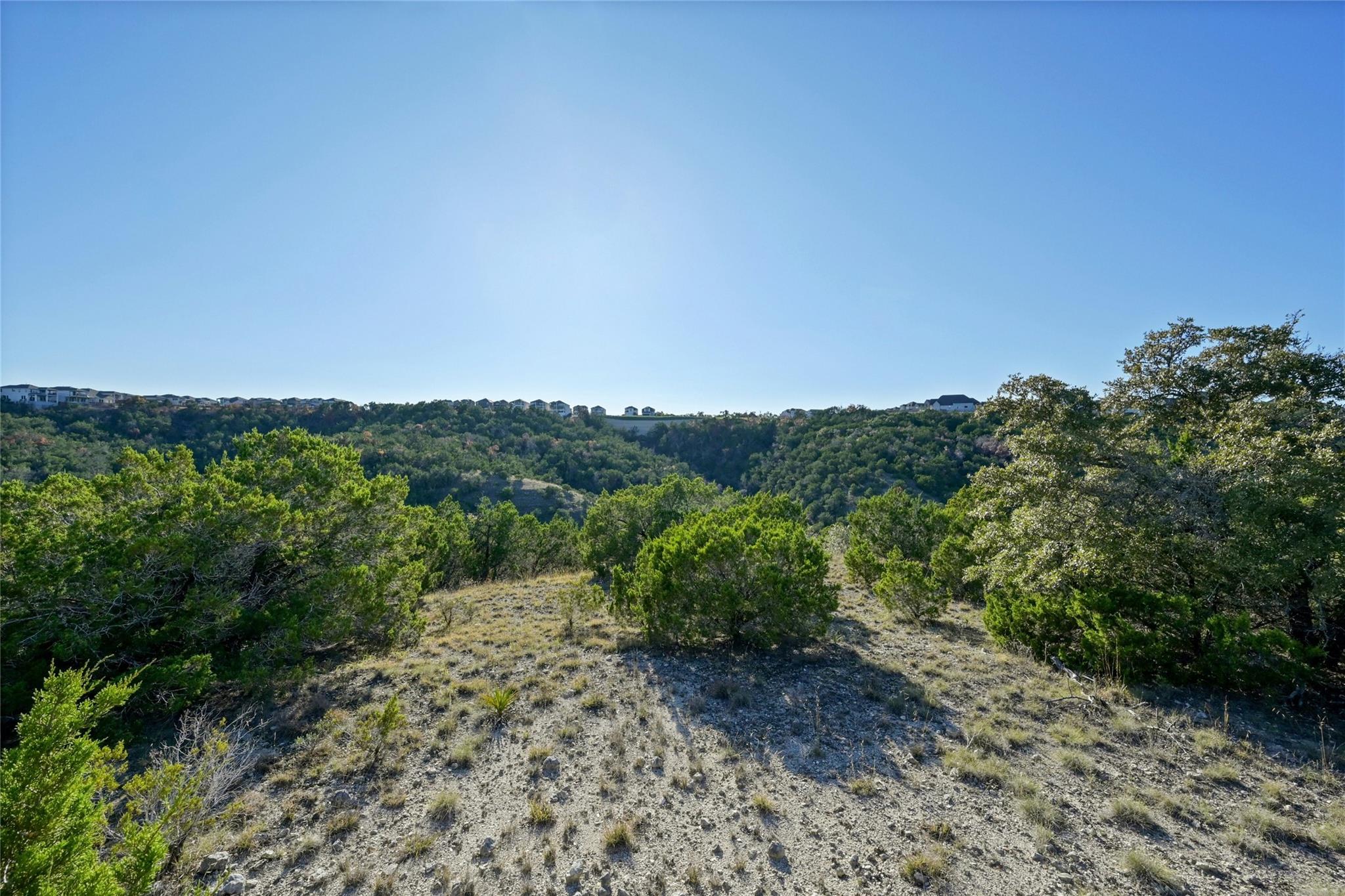 17409 Auburn Vista CV