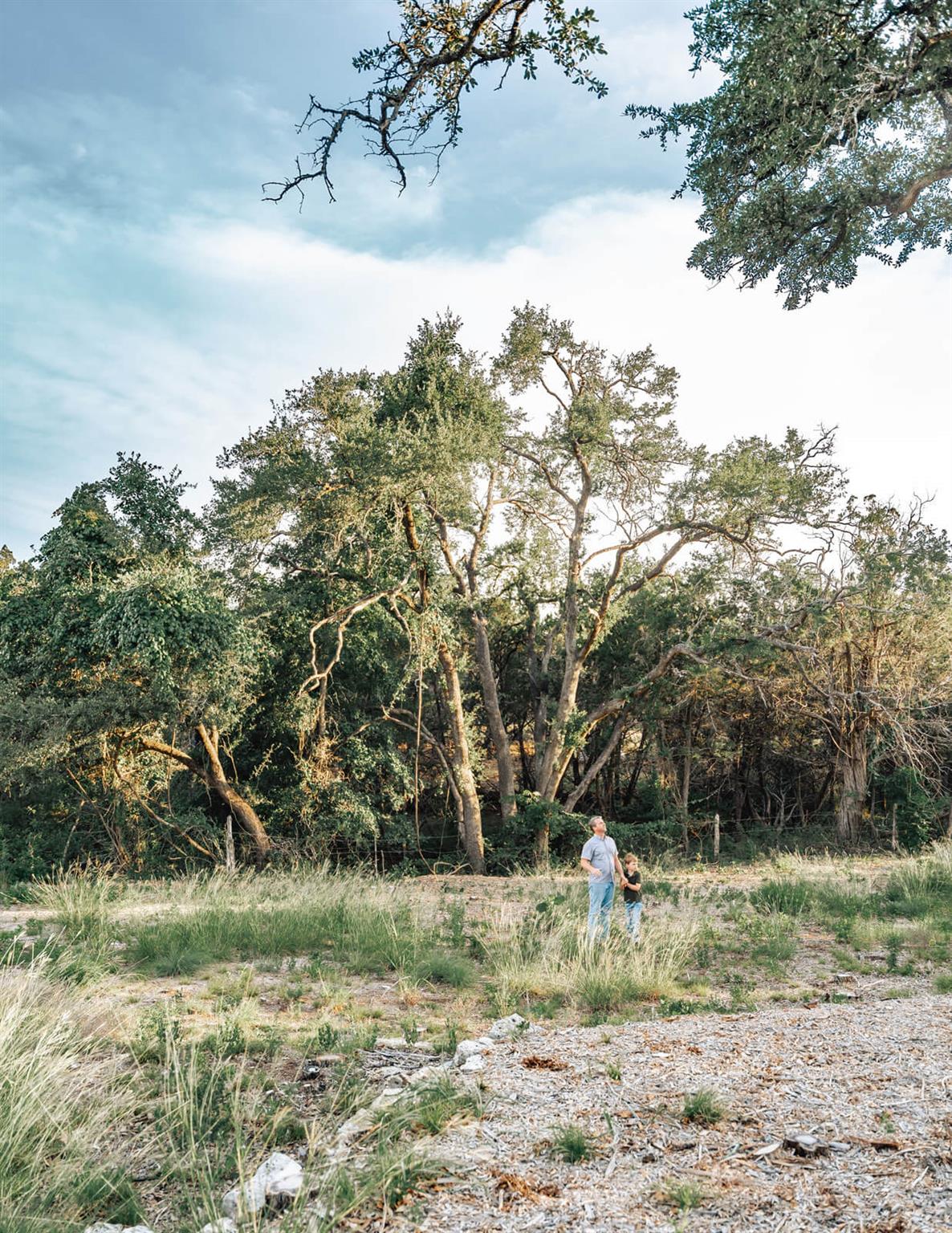17650-A Hamilton Pool RD