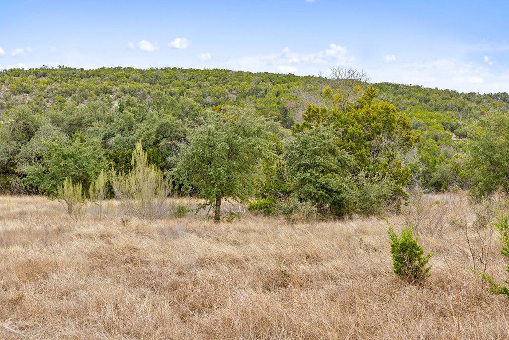 5408 Spring Preserve TRL