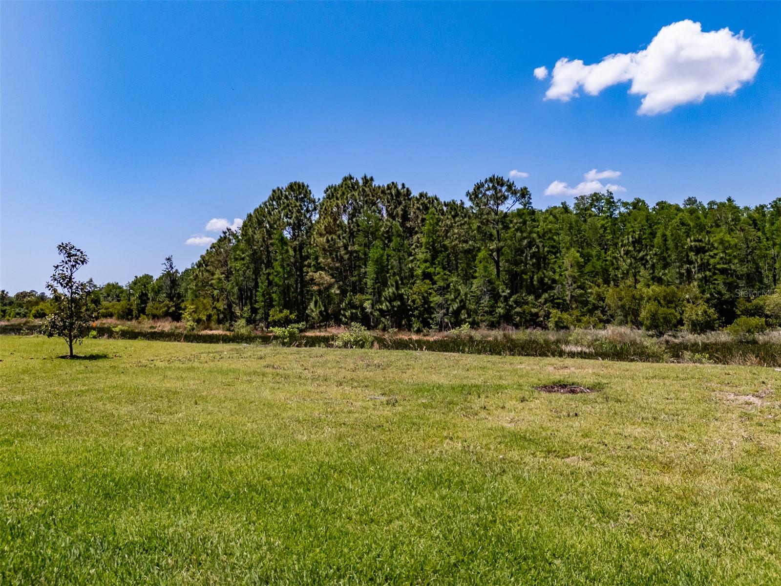 32277 MAHOGANY VALLEY DR