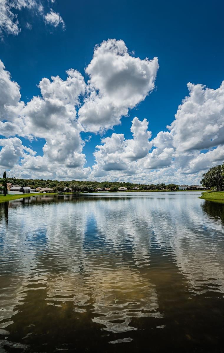 15925 POND RUSH CT