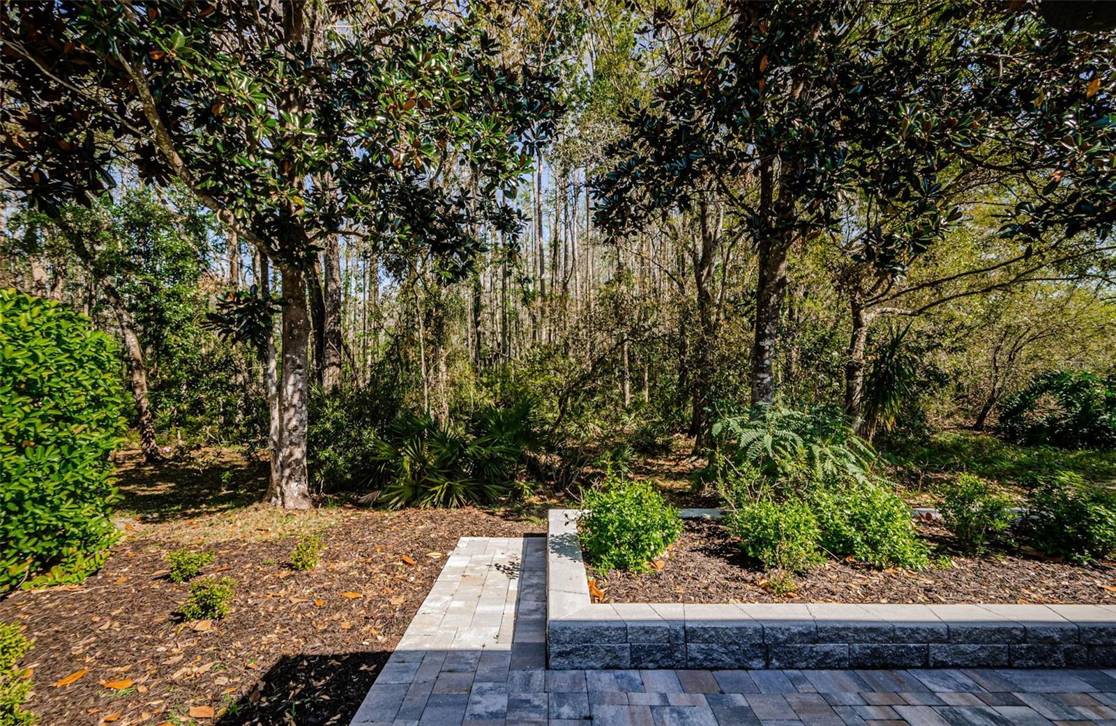15925 POND RUSH CT