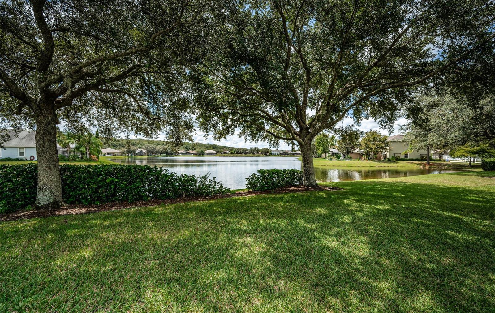 15925 POND RUSH CT