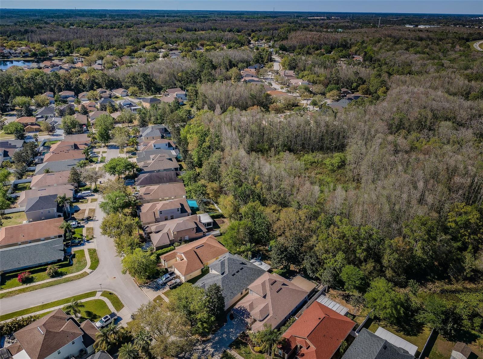 15925 POND RUSH CT