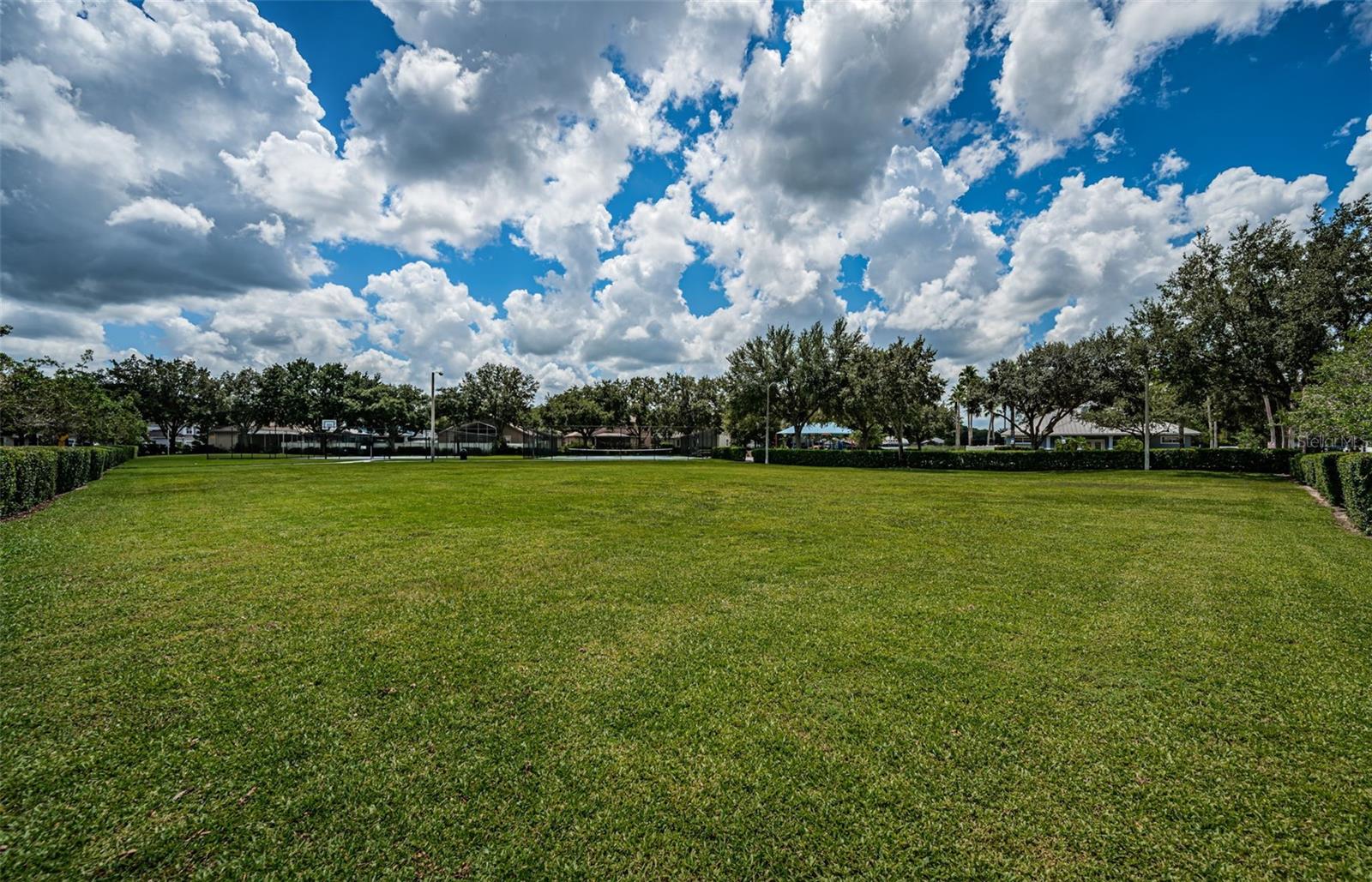 15925 POND RUSH CT