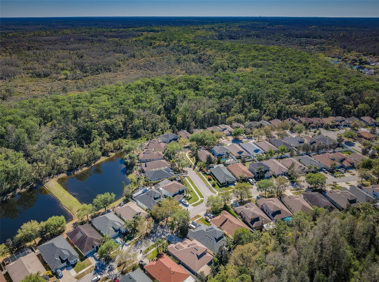 15925 POND RUSH CT