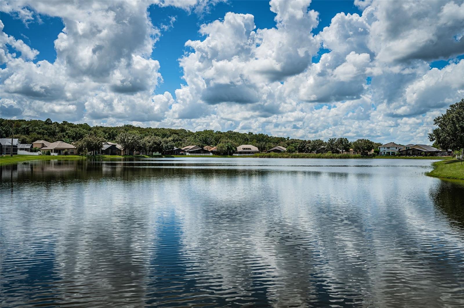 15925 POND RUSH CT