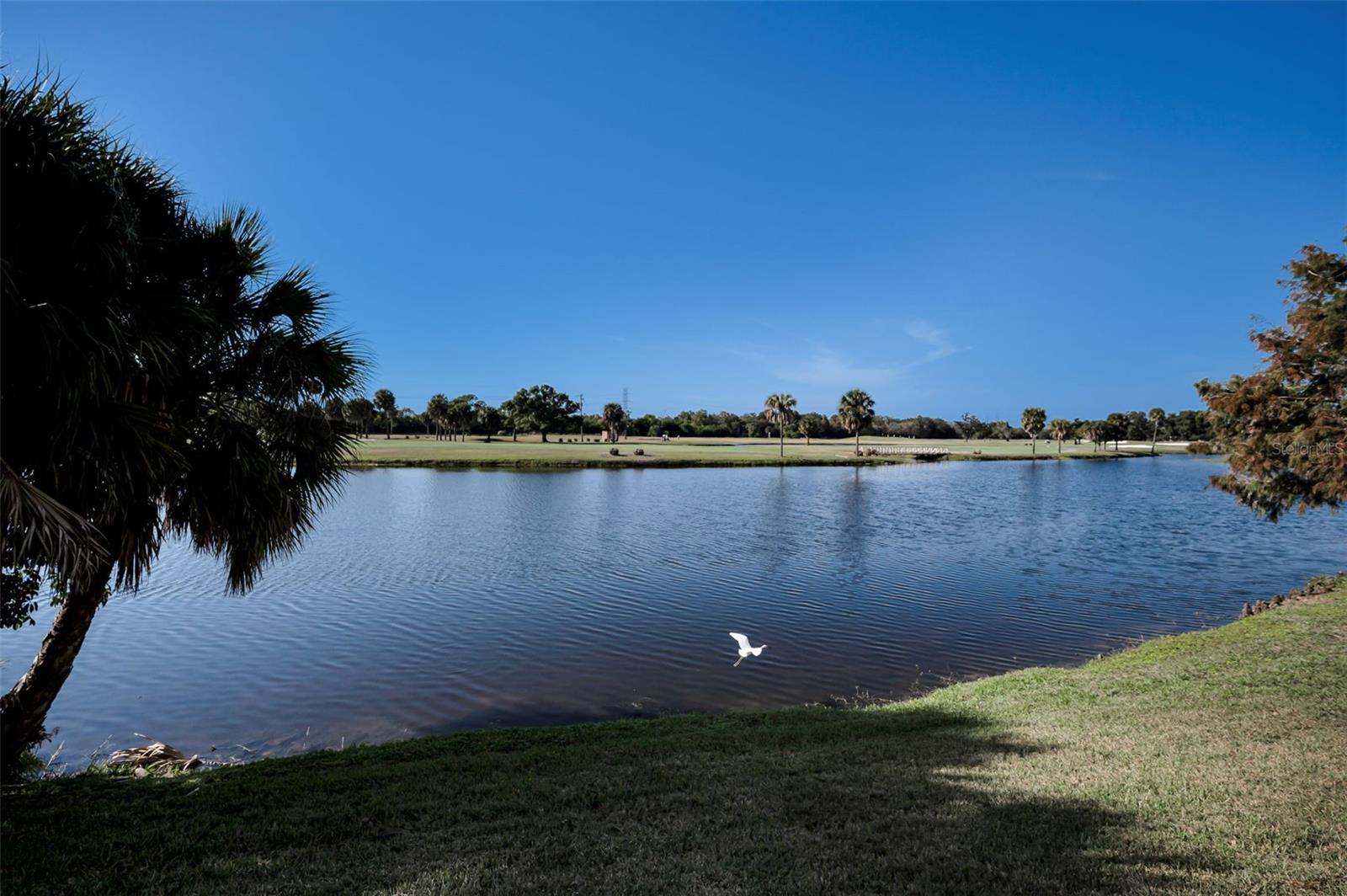 1200 COUNTRY CLUB DR #5101